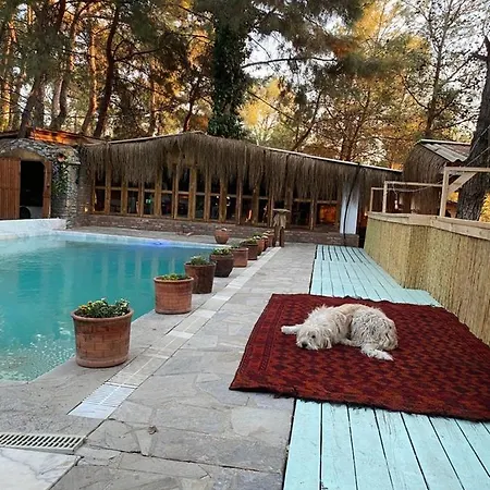 Kayserkaya Inn Selcuk